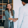 Two professionals shaking hands